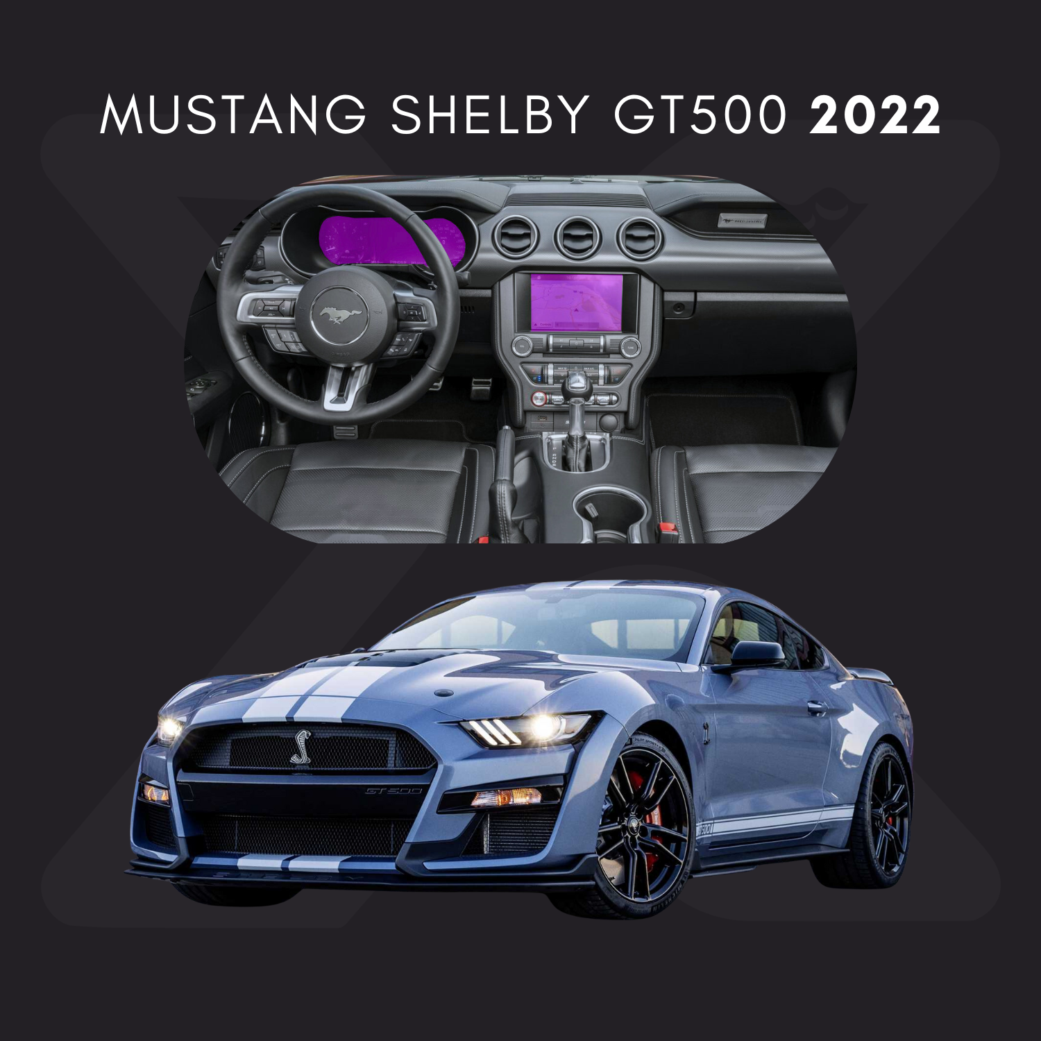 Ford Mustang Shelby GT 500 fastback Película Protectora Transparente PPF para Interiores – Kit Completo